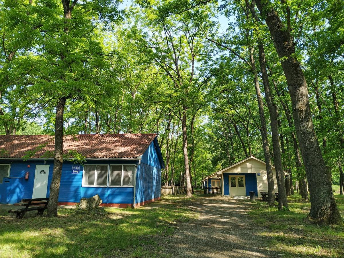 Dorcas Center&Camping 호텔 데브레첸 외부 사진